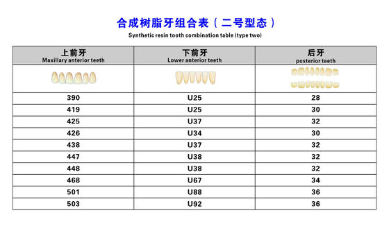 High Wear Resistance Dental Acrylic Resin Teeth For Biocompatibility