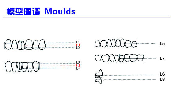 High Wear Resistance Dental Acrylic Resin Teeth For Biocompatibility