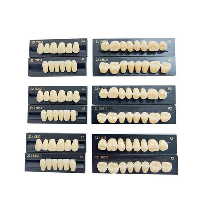 High Stain Resistance Artificial Acrylic Teeth Made Of Acrylic Resin Composite