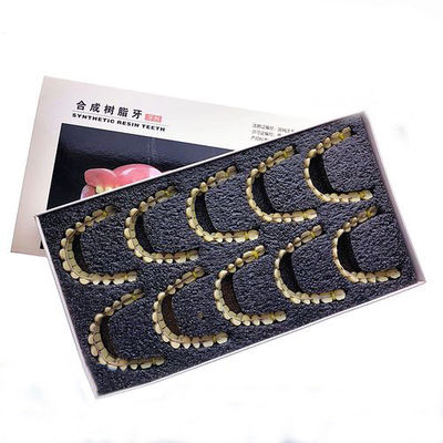 High Wear Resistance Acrylic Resin Artificial Dentition Composite VITA System