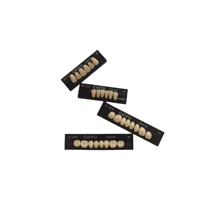 High Durability Dental Artificial Teeth Supported By VITA System Technology