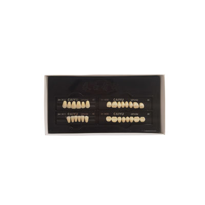 High Durability Dental Artificial Teeth Supported By VITA System Technology